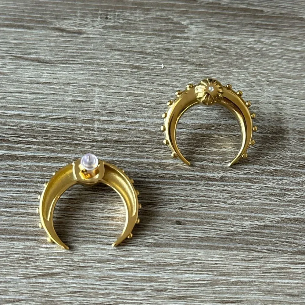 Statement earrings N737